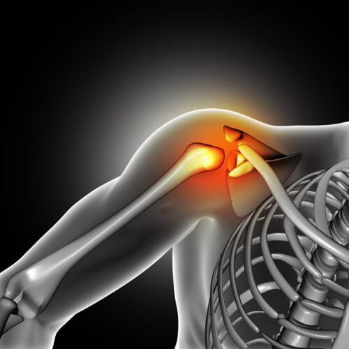 3D render of a medical image of close up of bone in shoulder